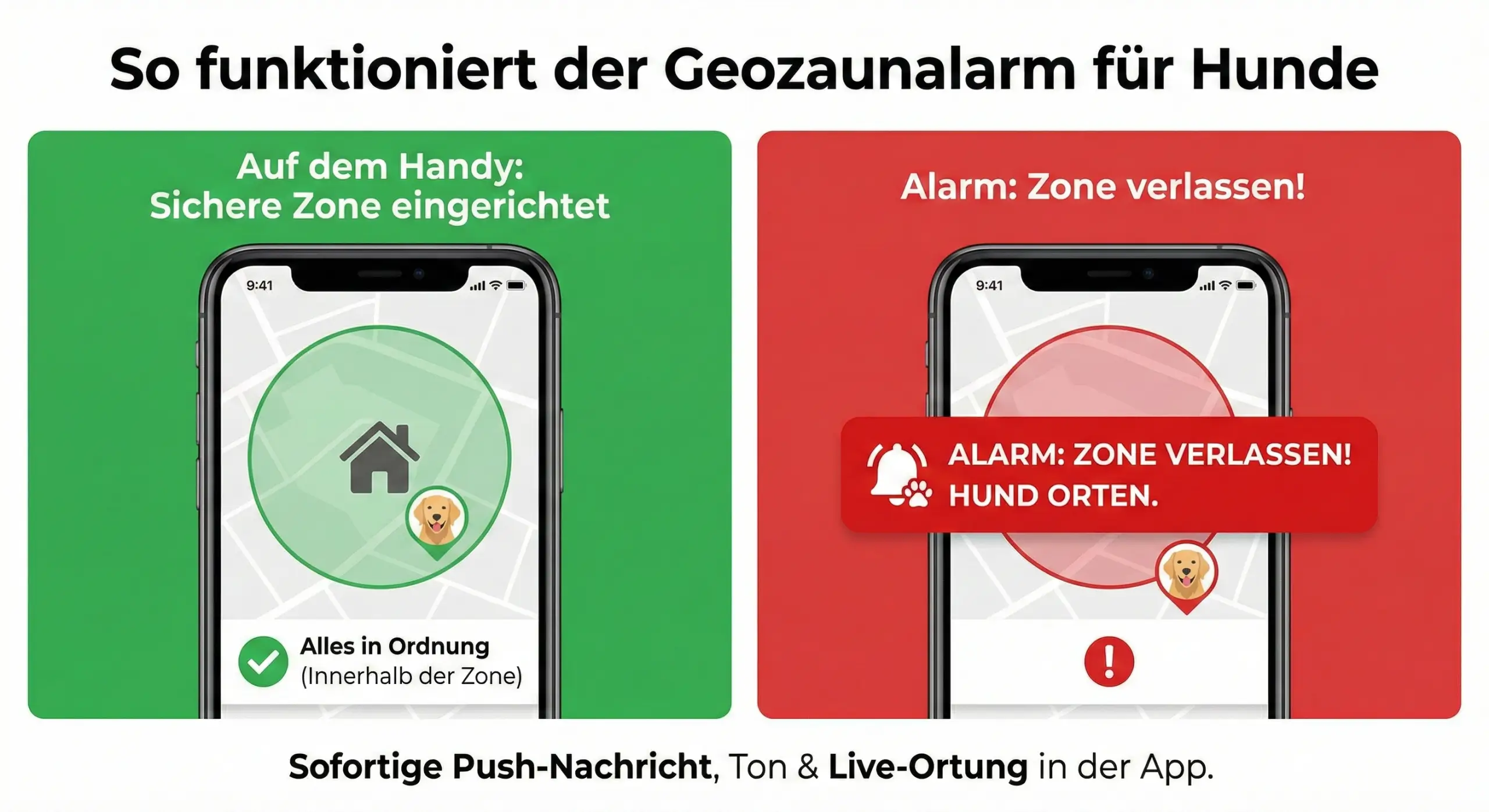 Tractive Dog 6 Geofence Alarm und GPS-Ortung am Smartphone